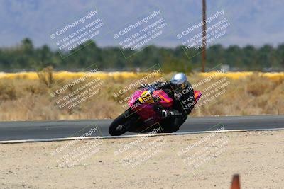 media/May-14-2022-SoCal Trackdays (Sat) [[7b6169074d]]/Turn 16 (1230pm)/